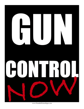 Gun Control Now Protest Sign